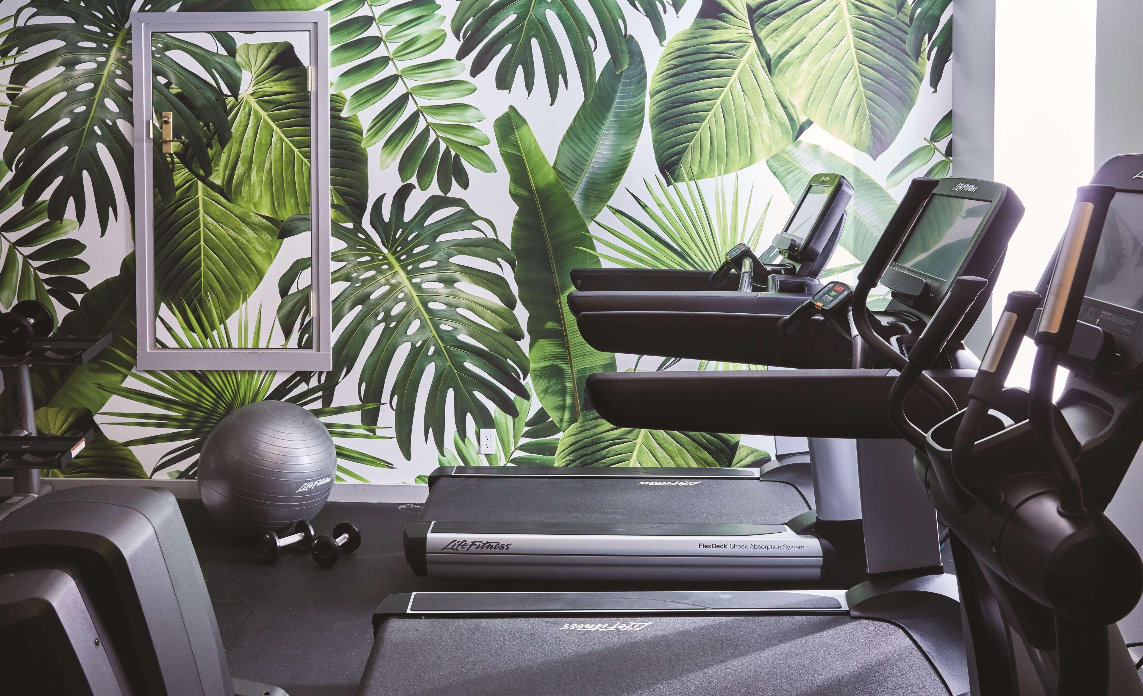 Seville Nomad, In The Unbound Collection By Hyatt Hotel Nova York