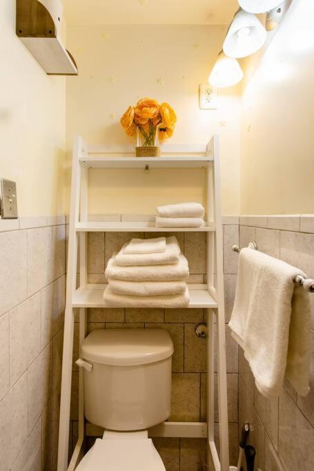 Large Apt, One Block To Train Nova York
