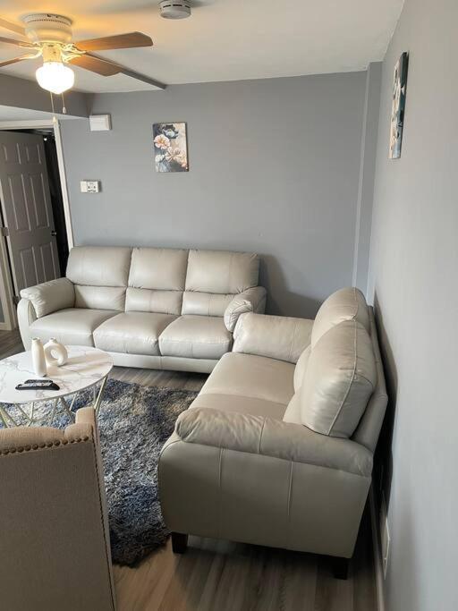 Modern One Bedroom Căn hộ *