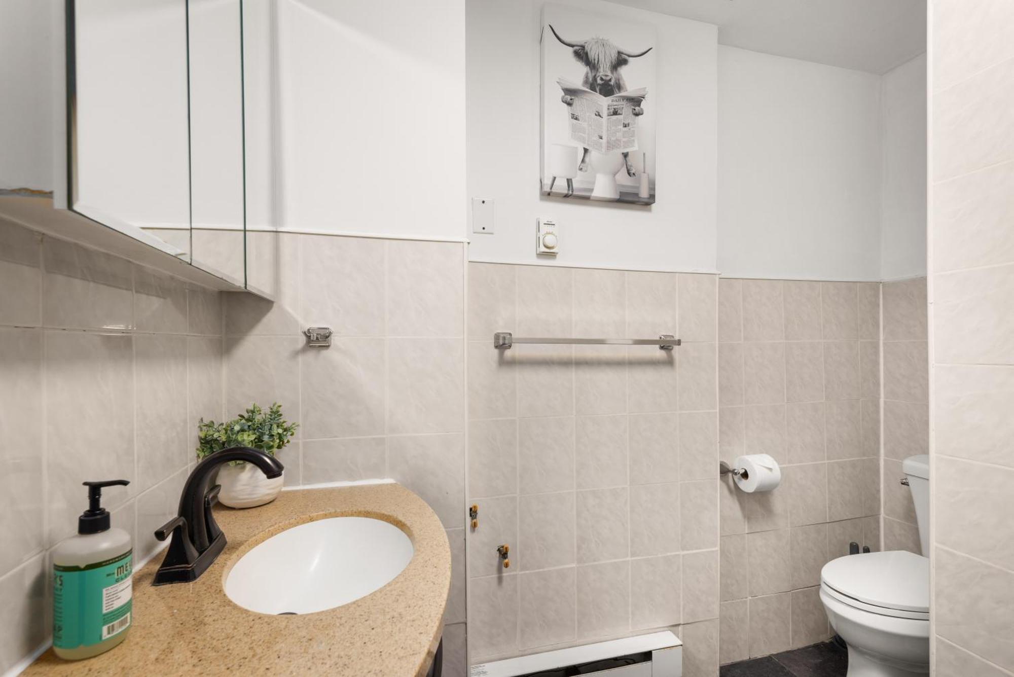 Stylish And Spacious 3 Bdr Unit In Dumbo Nyc Căn hộ