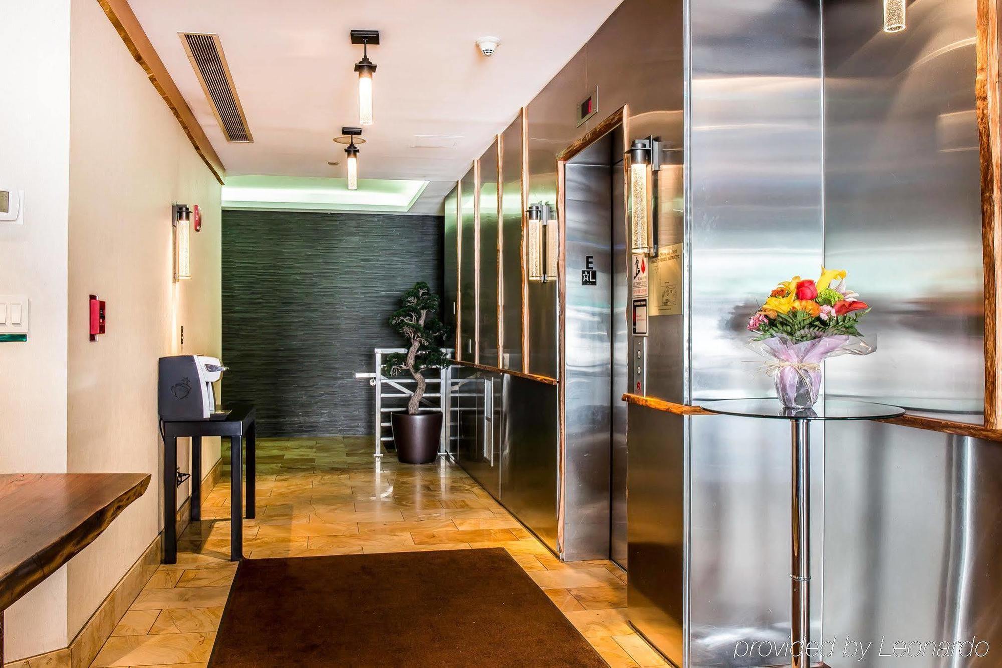 Solita Soho 3*