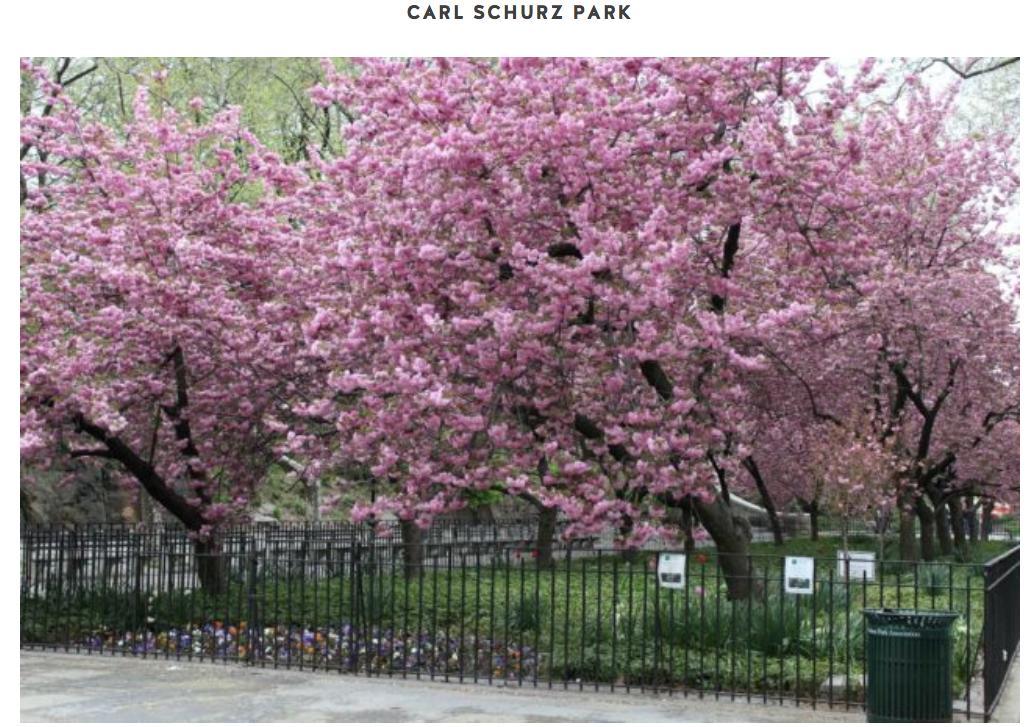 Beautiful Manhattan Căn hộ New York