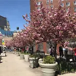 Hotel Mimosa