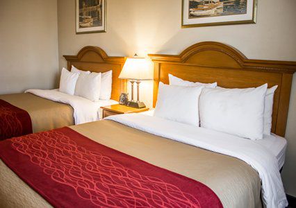 Comfort Jfk Airport 2* Nova York