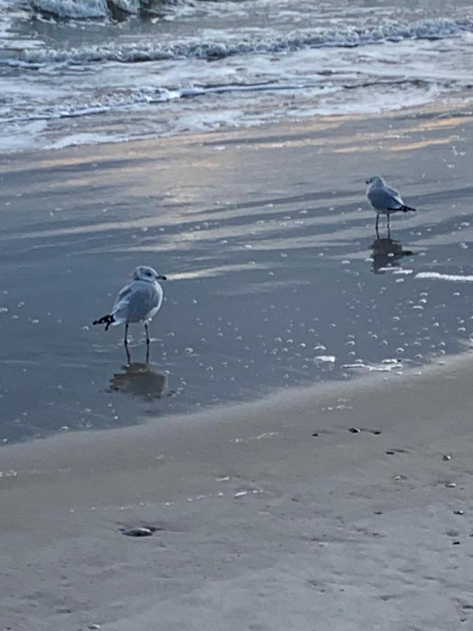 Jaris Beach * Nova York