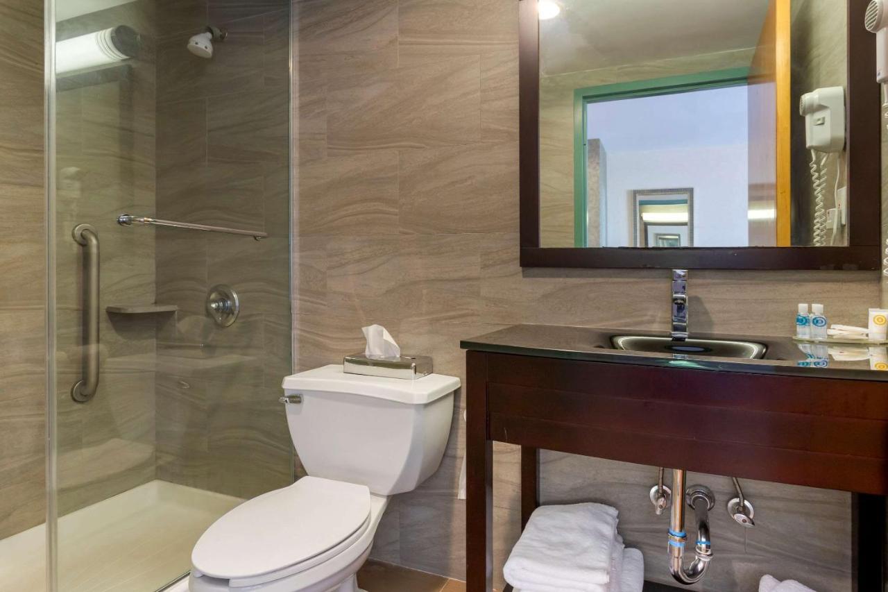 Khách sạn Comfort Brooklyn
