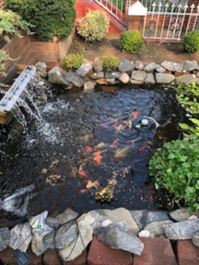Beautiful Brooklyn Koi-fish Pond-garden Căn hộ *