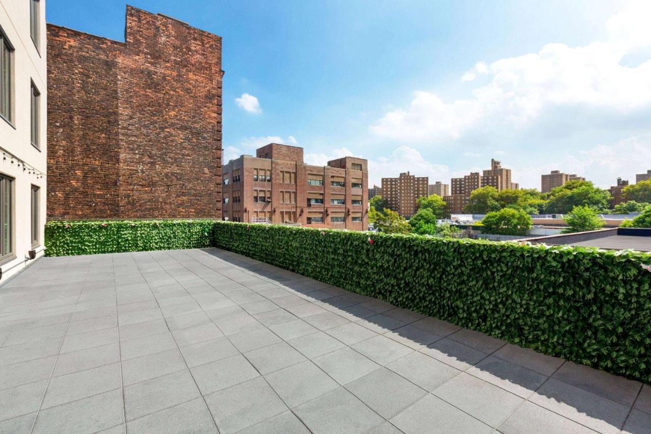 Khách sạn Wingate By Wyndham Bronx Haven Park