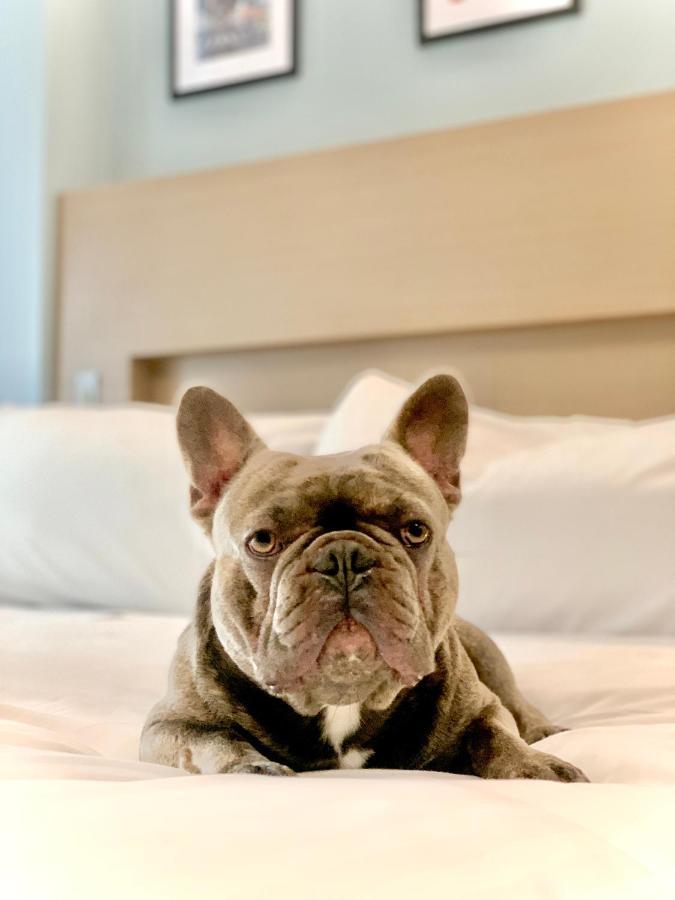 Khách sạn Wingate By Wyndham Bronx Haven Park 3*