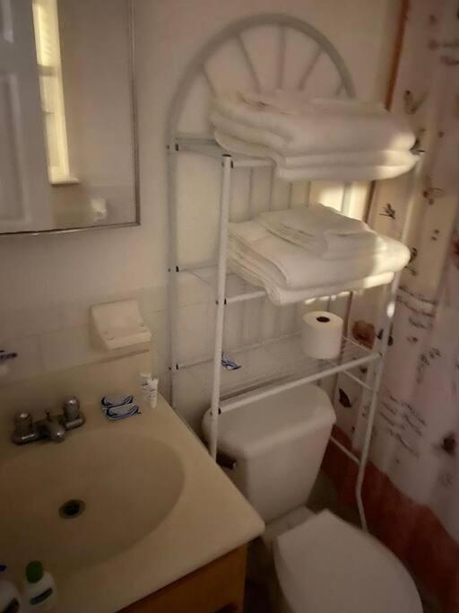 Large 3-bedrooms/2-bath Apt, One Block To Train Homestay