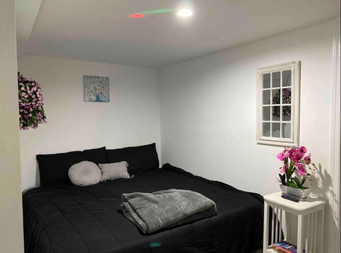 145 St Queens Near Jfk, Lga, & Citi Field, Free Parking In The Backyard 646-667-6696 Apartamento *