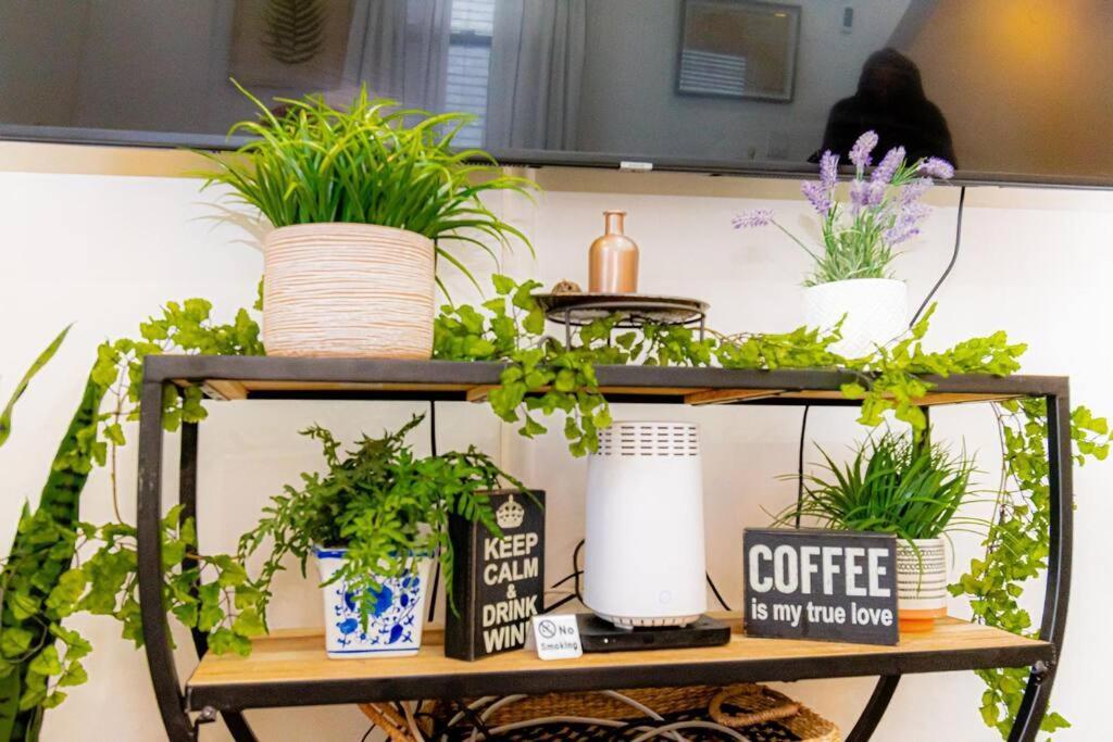 Căn hộ Luxury Oasis In The Heart Of Brooklyn New York