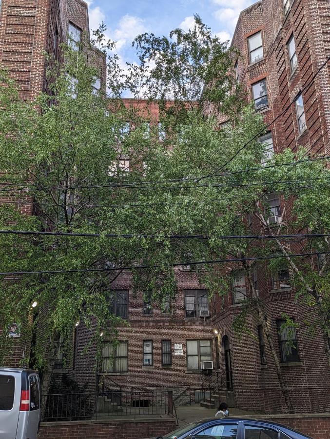 Apartment Hpdonline New York