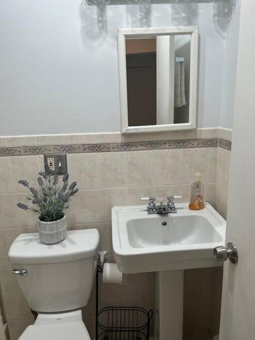 Cozy Lovely 2 Bedroom Apt, 5 Mins From Jfk Căn hộ *