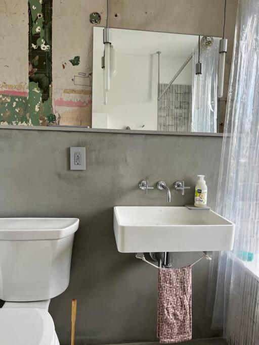 Apartment Deconstructed Loft In Greenpoint *