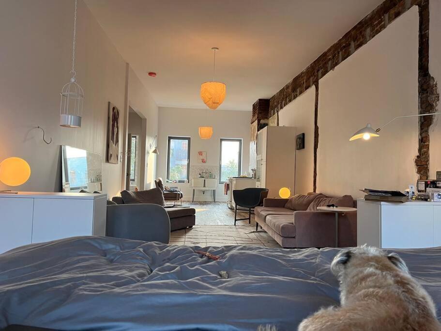 Deconstructed Loft In Greenpoint