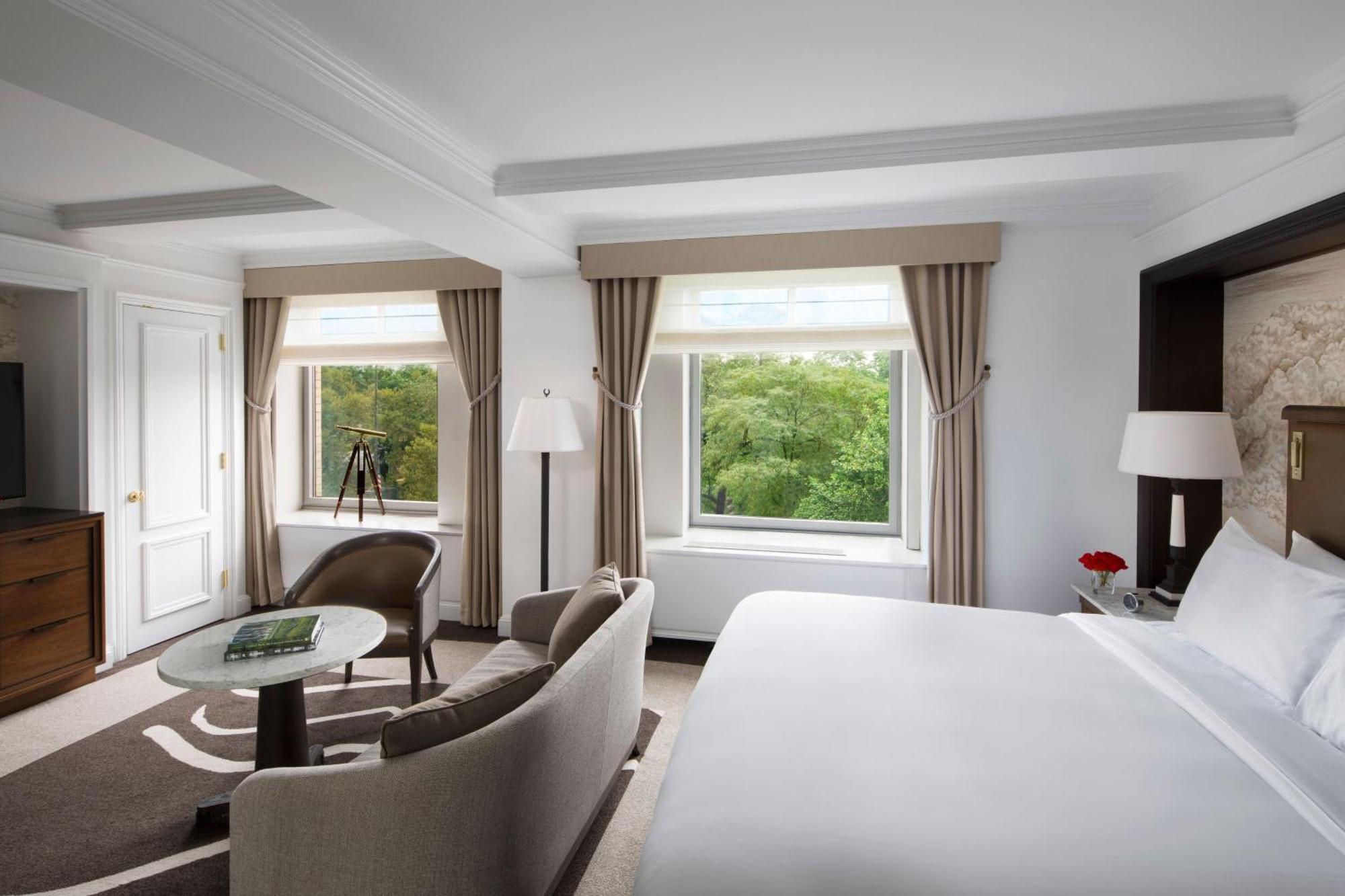 Hotel The Ritz-carlton New York, Park Nova York