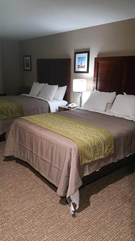 Hotel Comfort Jamaica Downtown Nova York