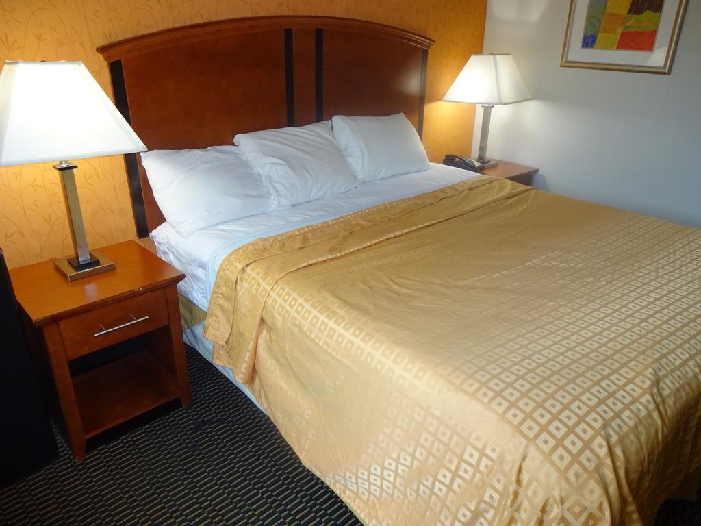 Lexington 2* Nova York