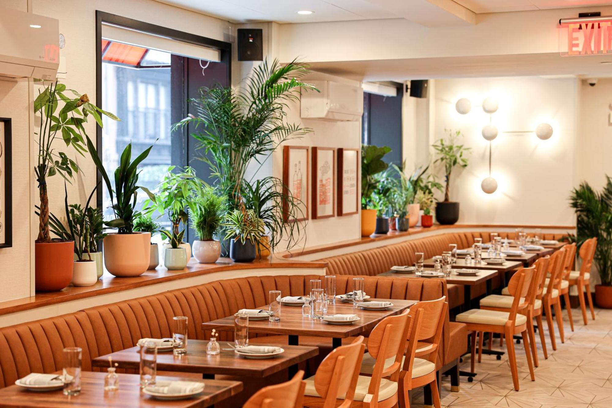 Khách sạn The Shelburne Sonesta 4*
