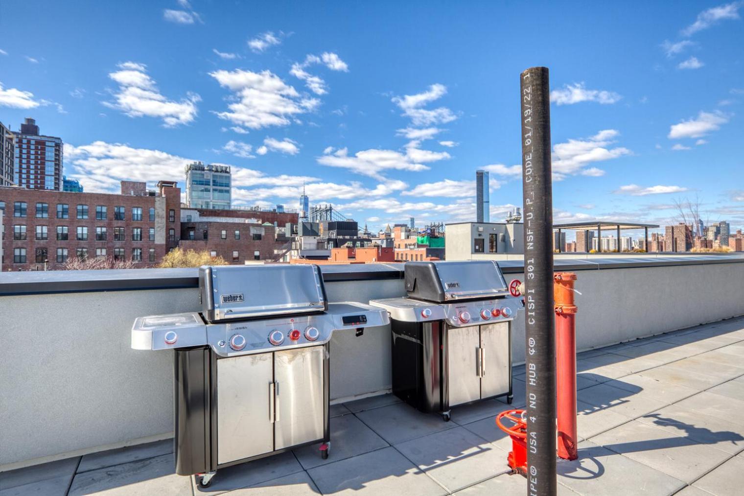 Dumbo 2br W Wd Roof Gym Nr Timeout Building Nyc-961 Apartment *