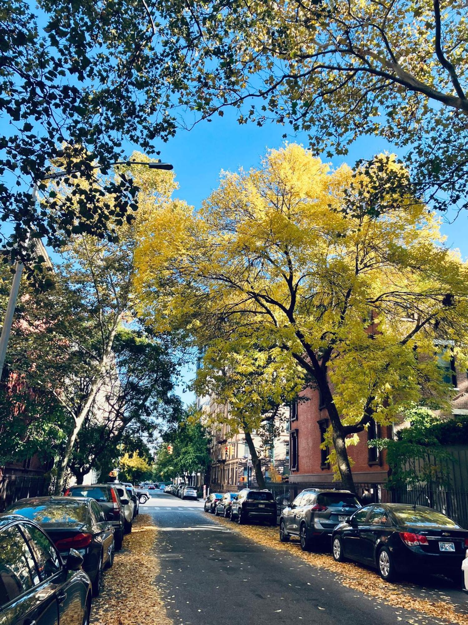 Harlem Grand Acomodação com café da manhã  4*