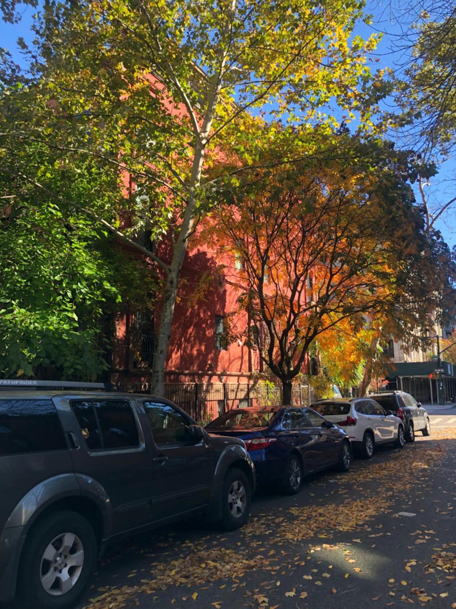 Harlem Grand Acomodação com café da manhã 