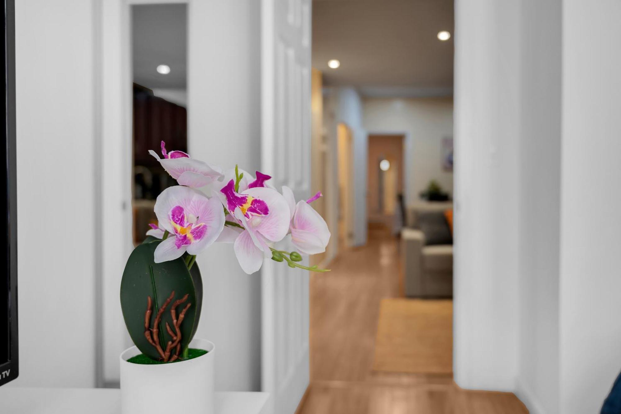 Apartment Gorgeous 4 Bedroom 2 Bathroom Nyc