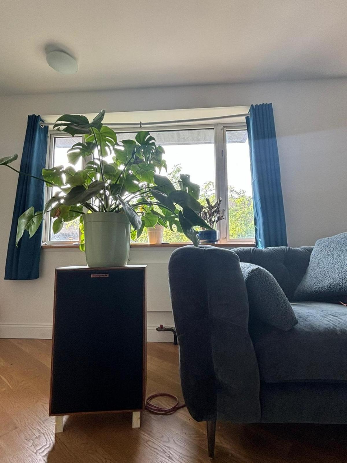 Apartamento 4 Peeps Inwilliamsburg