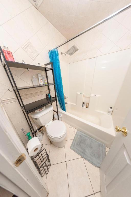 Large Triple In Williamsburg Homestay New York