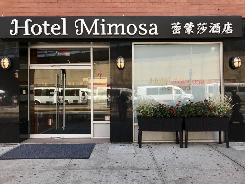 Mimosa Hotel