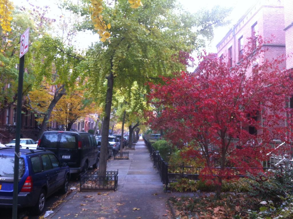 Great Cozy Apt Apartamento Nova York