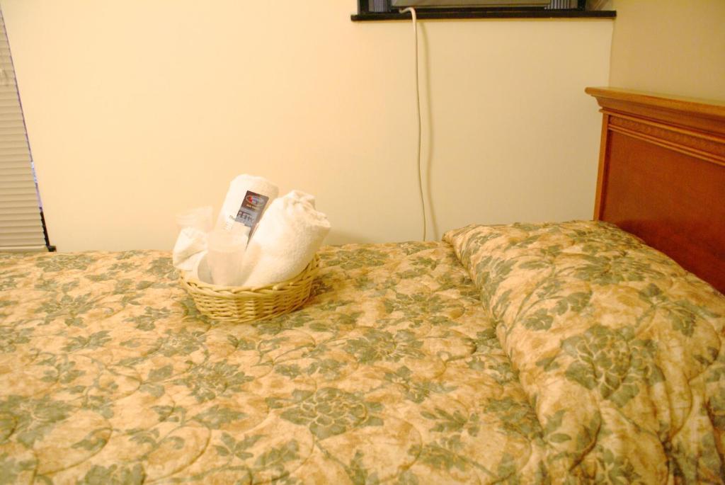 Hotel Americana Nova York