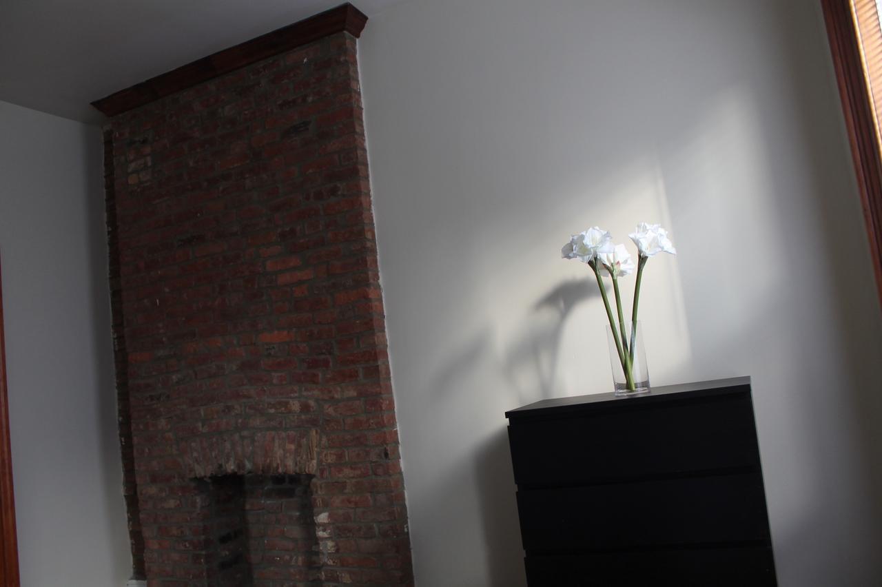 Stuyvesant Heights Loft Apartamento