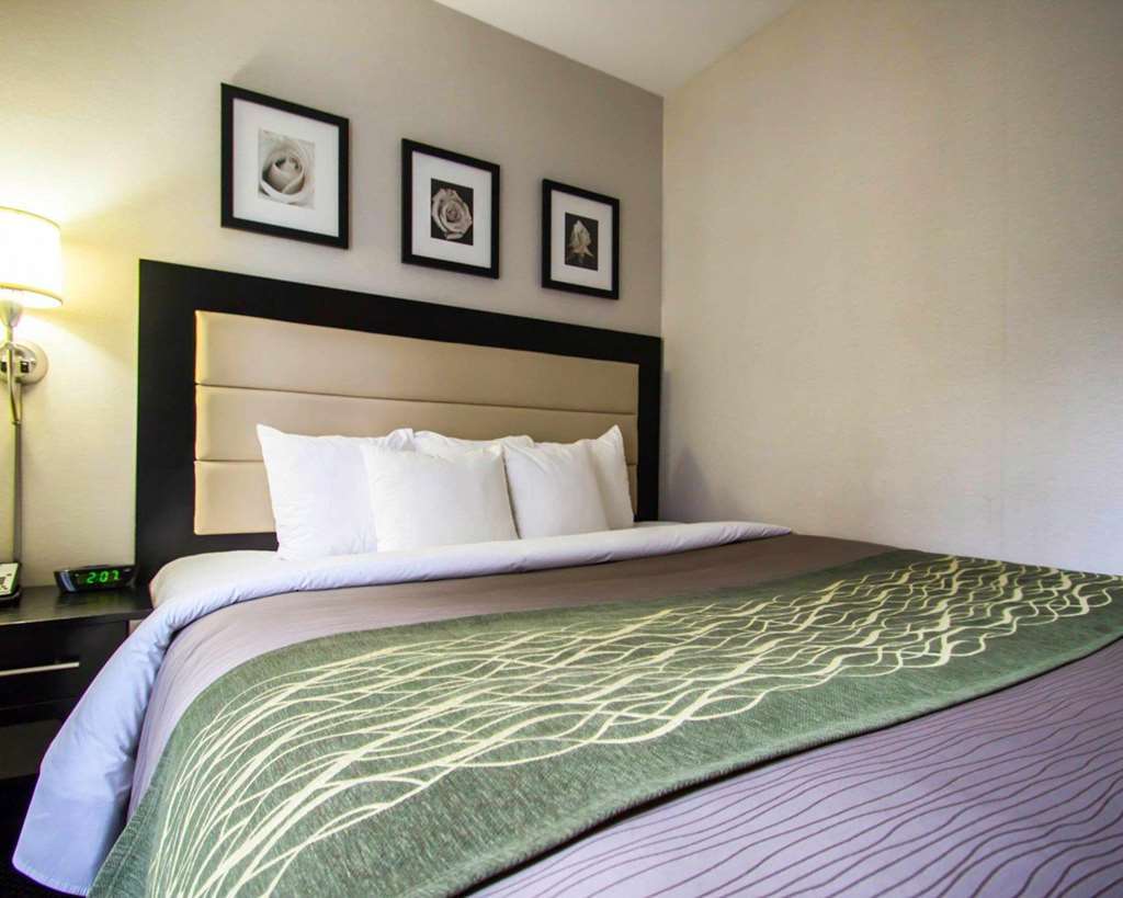 Comfort Times Square South Area Khách sạn New York
