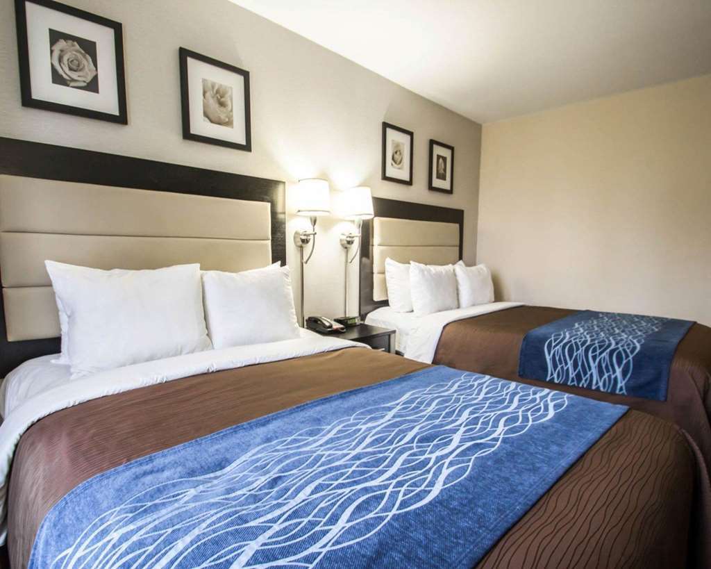 Comfort Times Square South Area Khách sạn New York