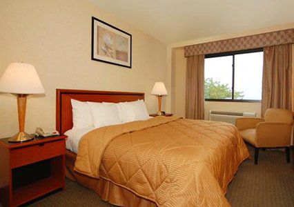 Khách sạn Comfort Brooklyn 2*