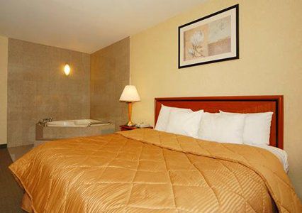 Khách sạn Comfort Brooklyn 2*
