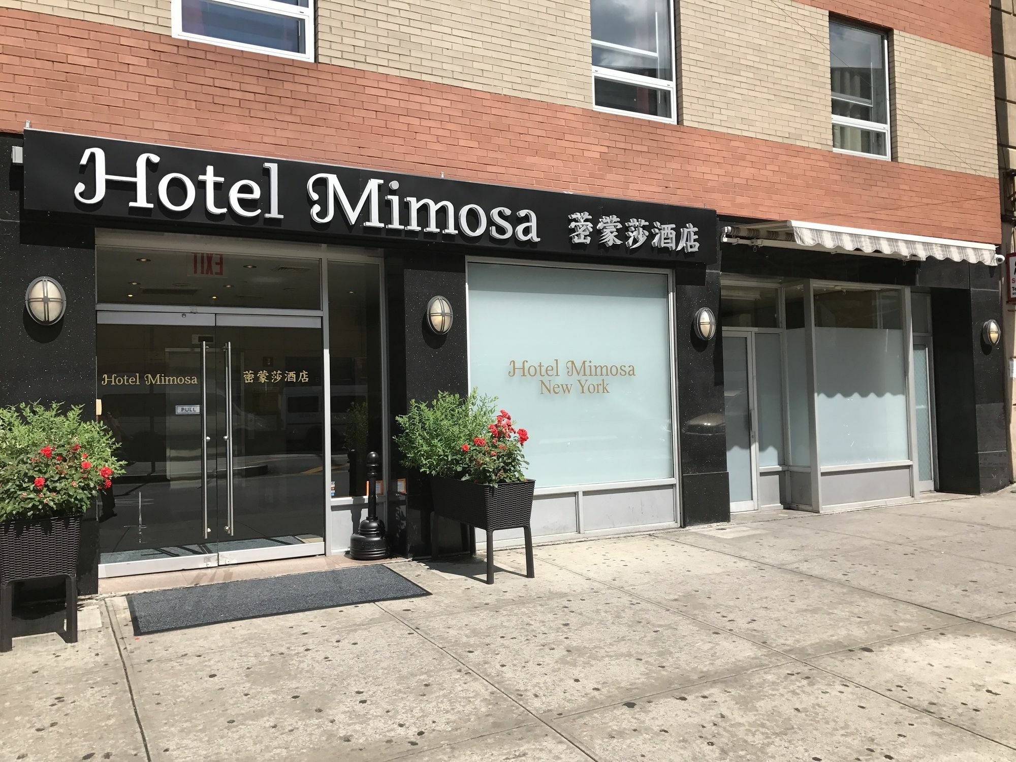 Mimosa 3* New York