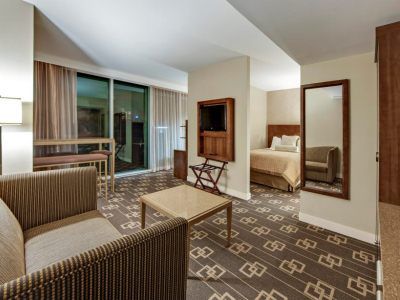 Wyndham Garden Chinatown 4* Nova York