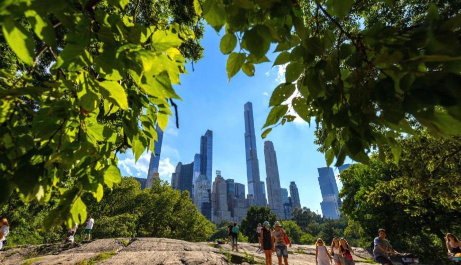 Spacious By Park - Columbus Circle *