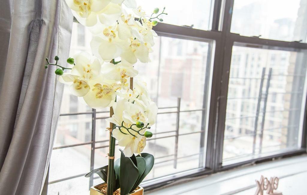 34th Street Apartment *