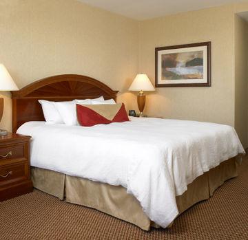 Hilton Garden Queens/jfk Hotel Nova York