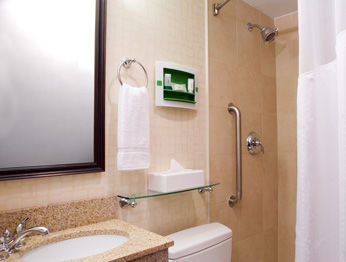 Hotel Manhattan 6th Ave - Chelsea By Ihg Nova York