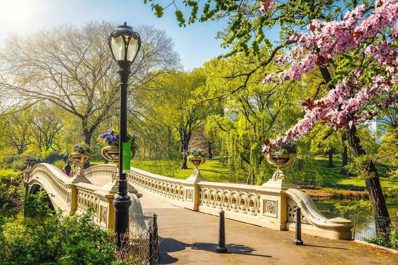 Chelsea Nova York